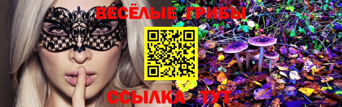 Татарск  купить наркотик  Вход с VPN  Галлюциногенные грибы MAGIC MUSHROOMS 