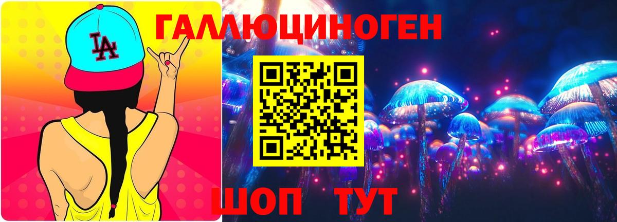 Псилоцибиновые грибы Psilocybine cubensis Татарск