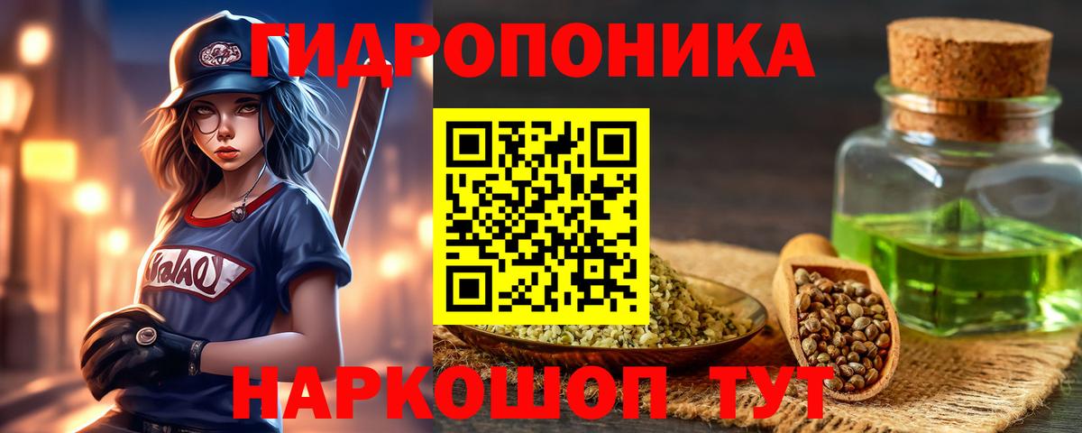 Бошки Шишки планчик Татарск